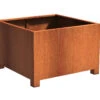 Plantenbak Cortenstaal Op Poten 120x120x80 Cm Carrez Adezz 2 Plantenbak Cortenstaal Op Poten 120x120x80 Cm Carrez Adezz -Graszaad Winkel 0tVX4eemRx0WNfBT6t9SrSDlF9i8wdcOlxGfe8o6