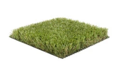 Graszaad Winkel -Graszaad Winkel 3qS9EcYUNILtwsjwA7txtjh7NJUVVTcRoZnXMZDR