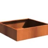 Plantenbak Cortenstaal 120x120x40 Cm Adezz 2 Plantenbak Cortenstaal 120x120x40 Cm Adezz -Graszaad Winkel 4sYHT0SPqVeGOgWjsIThlycljQT144N8mECwa6Qt