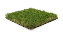 Graszaad Winkel -Graszaad Winkel 5s4muybuW4a3DbNVEf2x4KvbGfcBmfB7hodC64uj