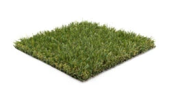 Graszaad Winkel -Graszaad Winkel ASmzoS1KeRQKsCe3U6Hmt0z2kfDvn6UVlZDEg1VV