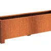 Plantenbak Cortenstaal Op Poten 200x50x60 Cm Adezz -Graszaad Winkel EBDjs983HjjSrmYU7K2o0vnABTYkszDE8mVAEzjo
