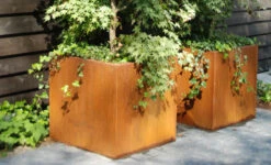 Plantenbak Cortenstaal 70x70x70 Cm Adezz 13 Plantenbak Cortenstaal 70x70x70 Cm Adezz -Graszaad Winkel Ex9WhDrrTmvsH4NU0T2Kv4iU4QVzaGWiONqmp1g0