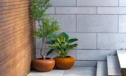 Cortenstaal Plantenbak Onyx 58 X 33 Cm -Graszaad Winkel ItayOt37VFUGGR4iMlw8EvLxVOruLOkF4fuMy53z