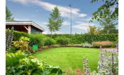 Borderrand Cortenstaal Geplet 230x0,3x39 Cm Adezz (20 Strips) -Graszaad Winkel OiNbhR6hNgZU0Txt5GqjfVp9w6vPbo0HDnySq8Zl