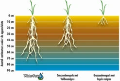 Barenbrug Water Saver 1 Kg 8 Barenbrug Water Saver 1 Kg -Graszaad Winkel REbf8TEQXw1ZdHXFPl9qLN7RQ4mF5J8hpf72PZ5Y