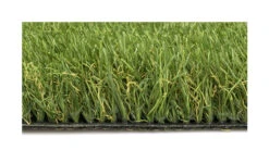 San Siro 45 -Graszaad Winkel ROrbzp5GU1TrFqXGgNigkdlQJ8pjaHhCeCsckiip