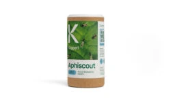 Aphiscout Sluipwespen