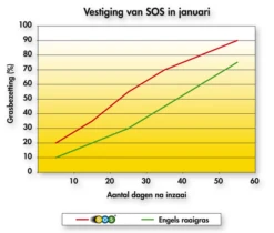 Barenbrug SOS Lawn Repair 5 Kg 8 Barenbrug SOS Lawn Repair 5 Kg -Graszaad Winkel UsiCSwJBShDH69GCQ8Cv4k2X4yapwaHtMKBjuf73