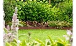 Borderrand Cortenstaal Geplet 230x0,3x20 Cm Adezz (10 Strips) 12 Borderrand Cortenstaal Geplet 230x0,3x20 Cm Adezz (10 Strips) -Graszaad Winkel XXyZLXSiGiSrmlTtqZIbd0YaAqsCi0DMERUhdldi