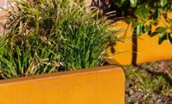 Cortenstaal Plantenbak Triangle 100 X 100 X 40 Cm 10 Cortenstaal Plantenbak Triangle 100 X 100 X 40 Cm -Graszaad Winkel a1ed6WCfsJjP485a7ecFvQZTRSWlm5R9qodSiD7p