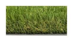 Anfield 40 -Graszaad Winkel dQlvu3EZEEy3AVB29sv19OFLuuJTECPDiYYRld7r