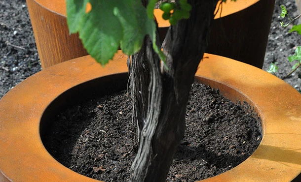 Plantenbak Cortenstaal Conic 120x100 Cm Adezz 6 Plantenbak Cortenstaal Conic 120x100 Cm Adezz - Afbeelding 4