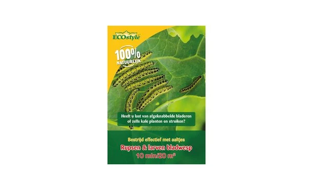 Aaltjes Buxusmot Voor 20 M² 3 Aaltjes Buxusmot Voor 20 M²