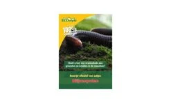 Aaltjes Tegen Miljoenpoot 60 M²