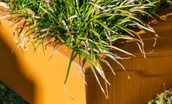 Cortenstaal Plantenbak Triangle 180 X 180 X 40 Cm 11 Cortenstaal Plantenbak Triangle 180 X 180 X 40 Cm -Graszaad Winkel f29h4OkX7orxg89fSRIkOD7Ra2aUH1jESKRwdErd