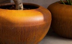 Cortenstaal Plantenbak Onyx 78 X 43 Cm -Graszaad Winkel fr0TMhzKHxmfrAjF6fkDKnfOzXXu9HshBP9dVddM