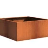 Plantenbak Cortenstaal 120x120x80 Cm Adezz 2 Plantenbak Cortenstaal 120x120x80 Cm Adezz -Graszaad Winkel glCaBd6rBeI8XNdmkihUJqRNFqG6f1T5Z37WV7cM