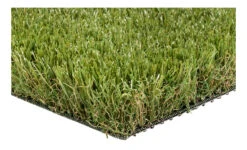 Graszaad Winkel 23 Ibrox 40