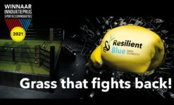 Barenbrug Resilient Blue Lawn 15 Kg -Graszaad Winkel pWlzW91kvLbRe1BZHzKMG6veVoqQzfCuqp6DtUm4