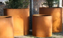 Plantenbak Cortenstaal Rond 200x60 Cm Adezz Zonder Bodem 9 Plantenbak Cortenstaal Rond 200x60 Cm Adezz Zonder Bodem -Graszaad Winkel x6yAZEYwOtNiQQKwDk7pEeBw1ONV8nF5zbYAirXr