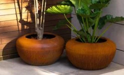 Cortenstaal Plantenbak Onyx 78 X 43 Cm -Graszaad Winkel xU1Q2HCTgnhXuNeHQHu5eEh8judVNYPcjbxlKOta