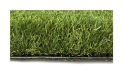 Graszaad Winkel -Graszaad Winkel zmF86BMXrByF5BOEiVyd5MEpMTZHFjBhhWVAHax6