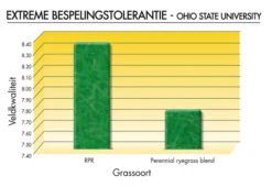 Graszaad Winkel -Graszaad Winkel znXHm7OSdzf3TS0j4pvqXQV1cMYBt23BE90vCoDv