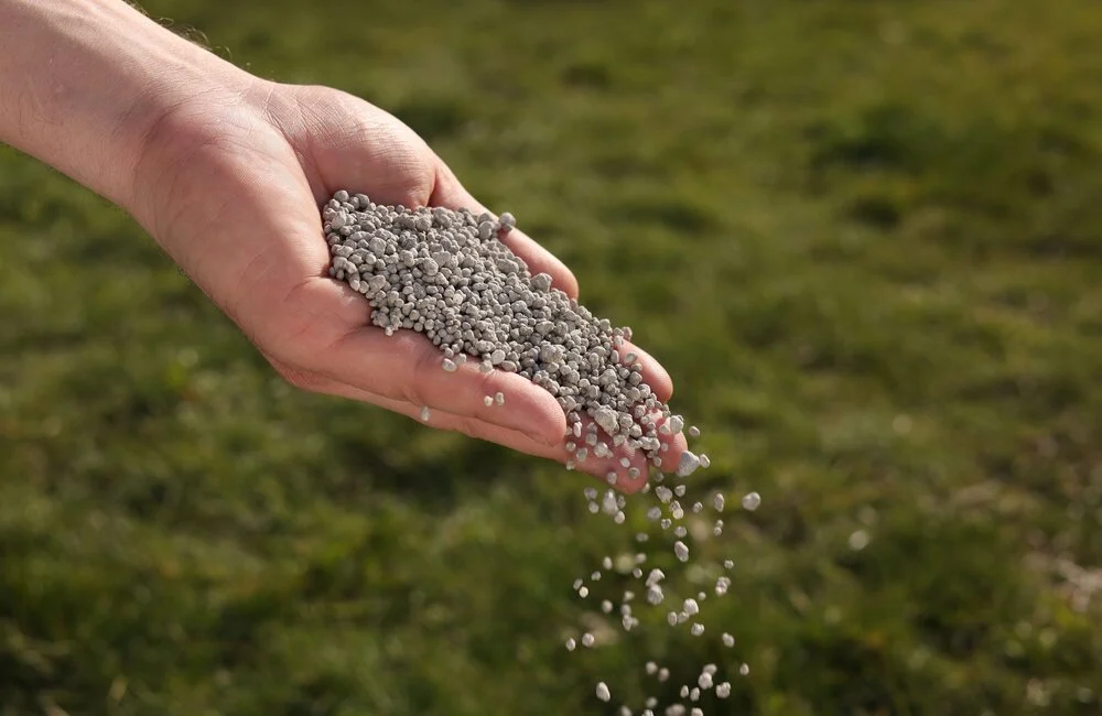 Graszaad Winkel 35 Graszaad Winkel -Graszaad Winkel image